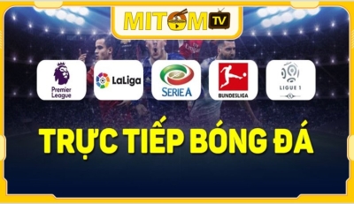 Mitom TV - Trải nghiệm trực tiếp chất lượng cao không thu phí